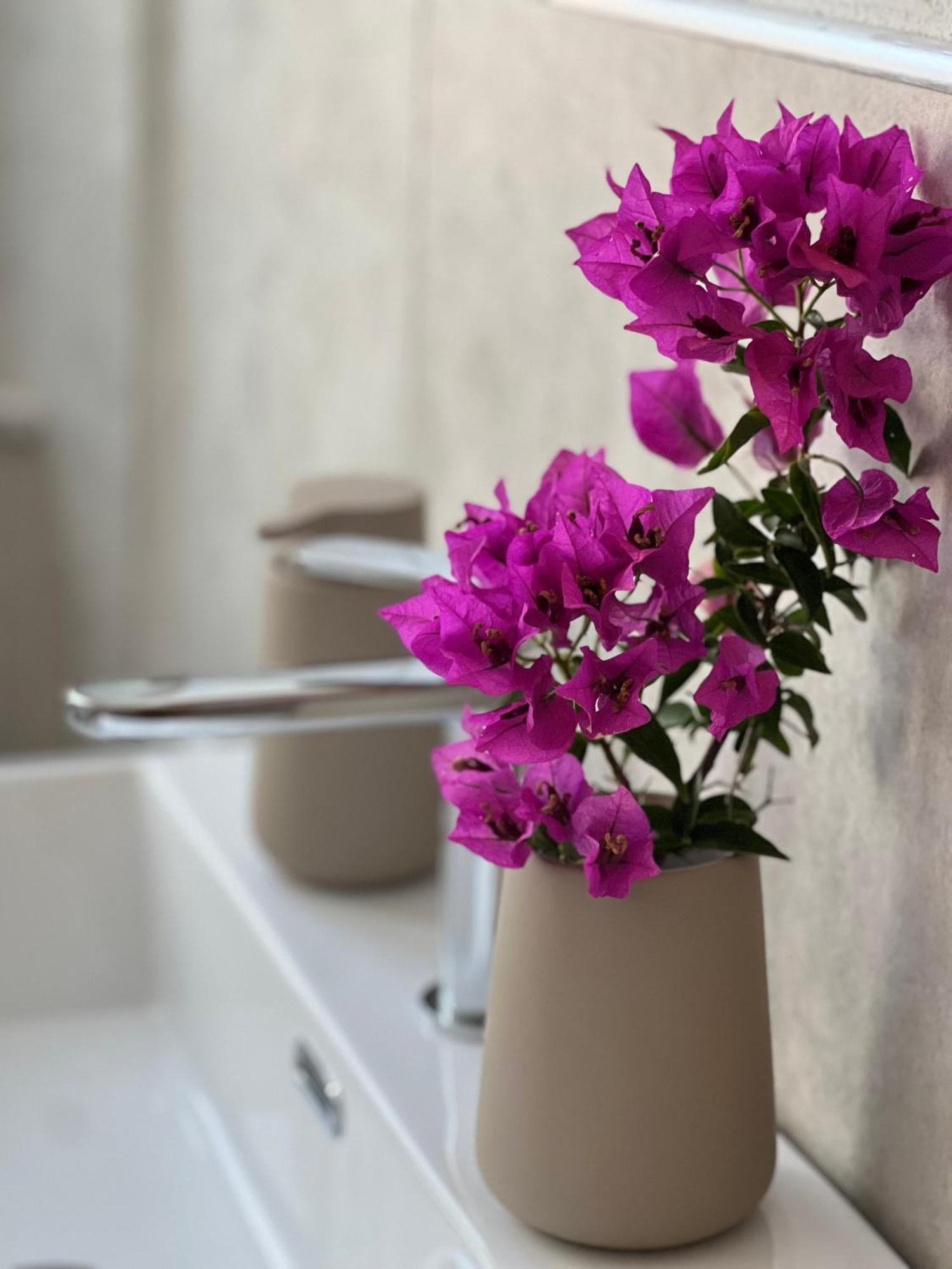 Il Mandorlo Bed and Breakfast Santa Teresa Gallura Buitenkant foto